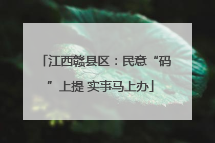 江西赣县区：民意“码”上提 实事马上办