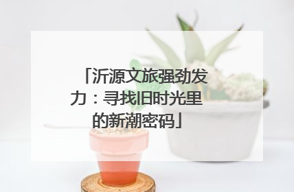 沂源文旅强劲发力：寻找旧时光里的新潮密码