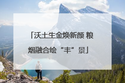沃土生金焕新颜 粮烟融合绘“丰”景