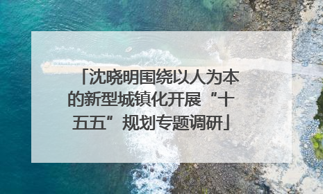 沈晓明围绕以人为本的新型城镇化开展“十五五”规划专题调研