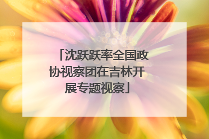 沈跃跃率全国政协视察团在吉林开展专题视察