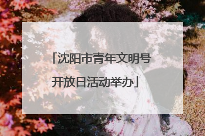 沈阳市青年文明号开放日活动举办