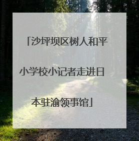 沙坪坝区树人和平小学校小记者走进日本驻渝领事馆