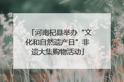 河南杞县举办“文化和自然遗产日”非遗大集购物活动