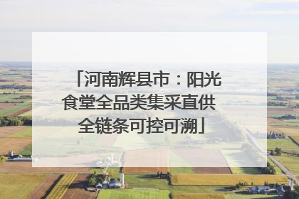 河南辉县市：阳光食堂全品类集采直供 全链条可控可溯