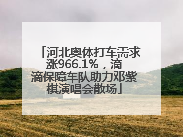 河北奥体打车需求涨966.1%，滴滴保障车队助力邓紫棋演唱会散场