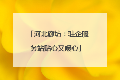 河北廊坊：驻企服务站贴心又暖心