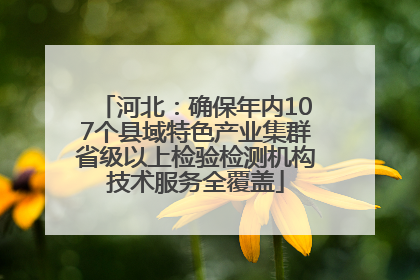 河北：确保年内107个县域特色产业集群省级以上检验检测机构技术服务全覆盖