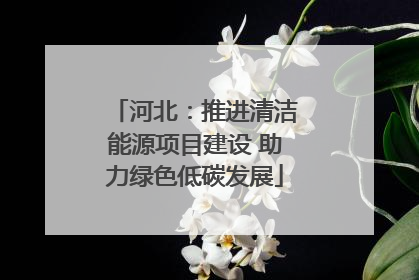 河北：推进清洁能源项目建设 助力绿色低碳发展