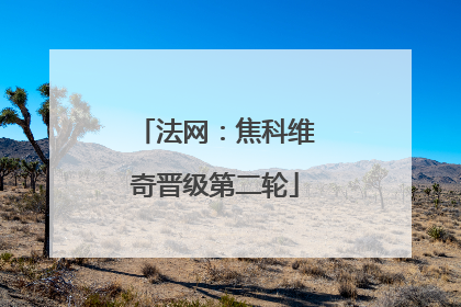 法网：焦科维奇晋级第二轮