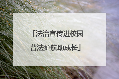 法治宣传进校园 普法护航助成长
