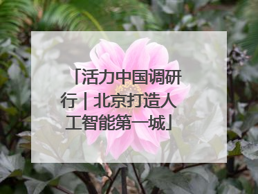 活力中国调研行｜北京打造人工智能第一城