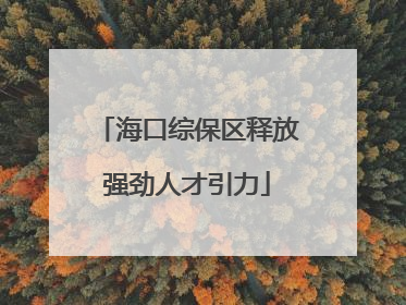 海口综保区释放强劲人才引力