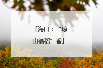 海口：“琼山福稻”香
