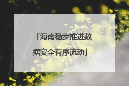 海南稳步推进数据安全有序流动