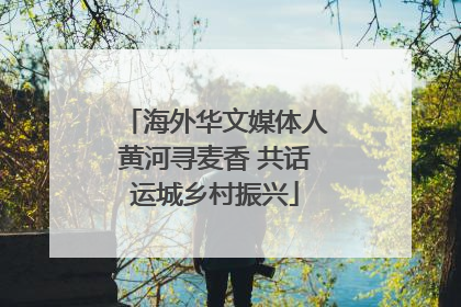 海外华文媒体人黄河寻麦香 共话运城乡村振兴