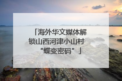 海外华文媒体解锁山西河津小山村“蝶变密码”