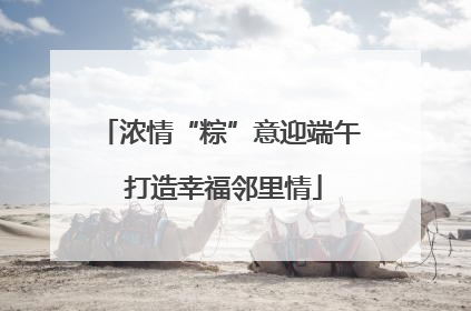 浓情“粽”意迎端午 打造幸福邻里情