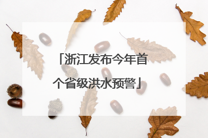 浙江发布今年首个省级洪水预警