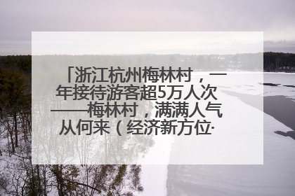 浙江杭州梅林村，一年接待游客超5万人次——梅林村，满满人气从何来（经济新方位·农村消费观察）