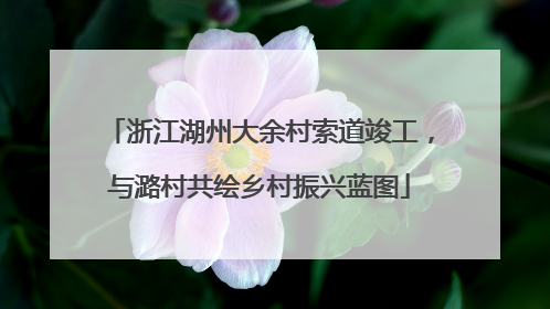 浙江湖州大余村索道竣工，与潞村共绘乡村振兴蓝图