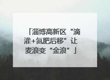 淄博高新区“滴灌+氮肥后移”让麦浪变“金浪”