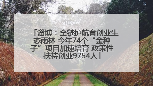 淄博：全链护航育创业生态雨林 今年74个“金种子”项目加速培育 政策性扶持创业9754人