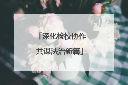深化检校协作 共谋法治新篇