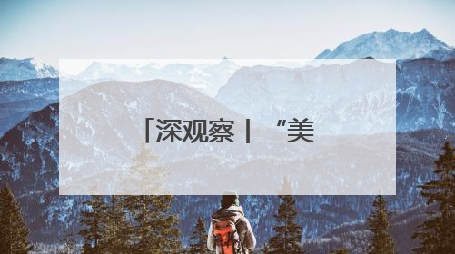 深观察丨“美国的运作是基于心血来潮”
