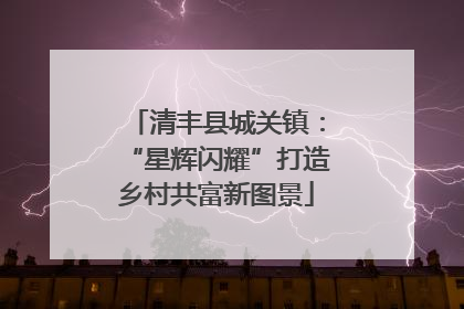 清丰县城关镇：“星辉闪耀”打造乡村共富新图景