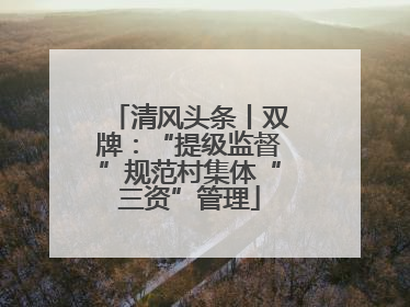 清风头条丨双牌：“提级监督”规范村集体“三资”管理