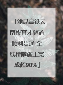 渝昆高铁云南段育才隧道顺利贯通 全线桥隧施工完成超90%