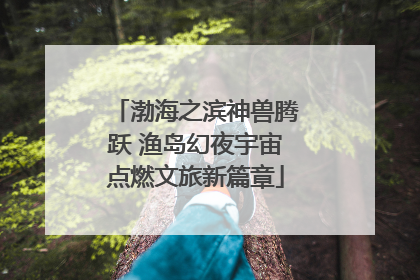 渤海之滨神兽腾跃 渔岛幻夜宇宙点燃文旅新篇章