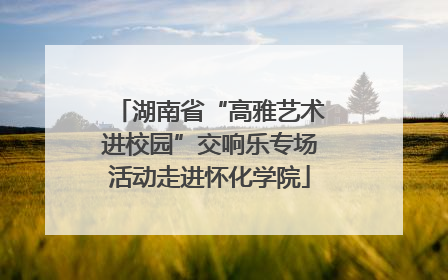 湖南省“高雅艺术进校园”交响乐专场活动走进怀化学院