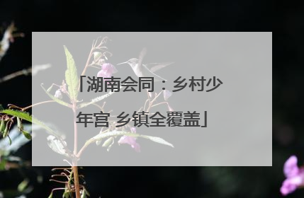 湖南会同：乡村少年宫 乡镇全覆盖
