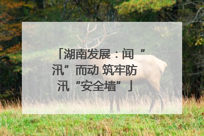 湖南发展：闻“汛”而动 筑牢防汛“安全墙”