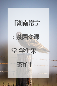湖南常宁：茶园变课堂 学生采茶忙