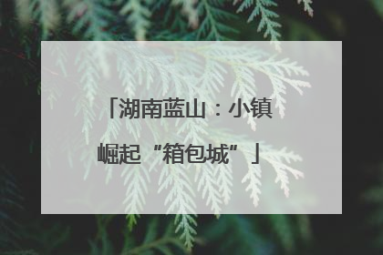 湖南蓝山：小镇崛起“箱包城”