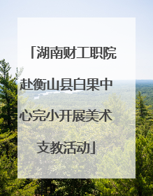 湖南财工职院赴衡山县白果中心完小开展美术支教活动