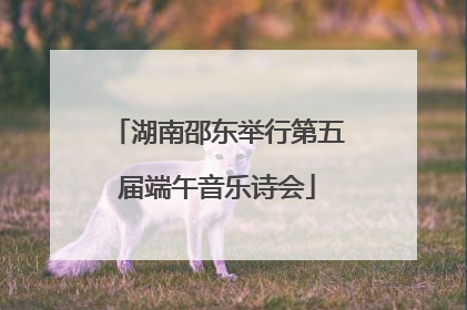 湖南邵东举行第五届端午音乐诗会