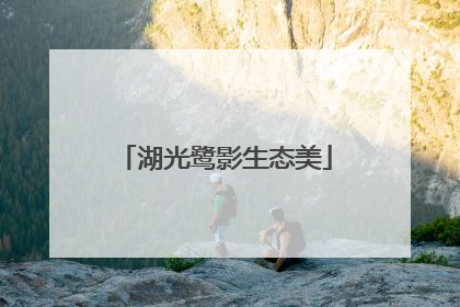 湖光鹭影生态美