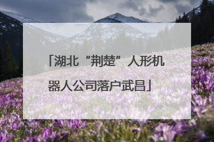 湖北“荆楚”人形机器人公司落户武昌