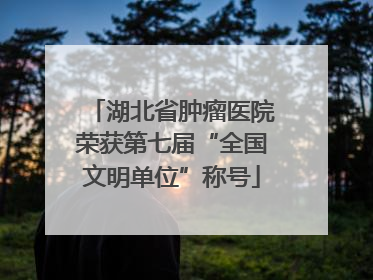 湖北省肿瘤医院荣获第七届“全国文明单位”称号