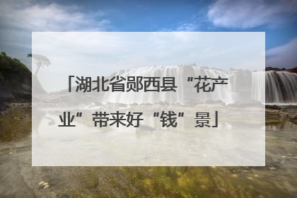 湖北省郧西县“花产业”带来好“钱”景