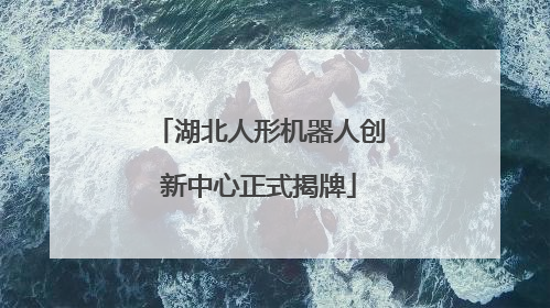 湖北人形机器人创新中心正式揭牌