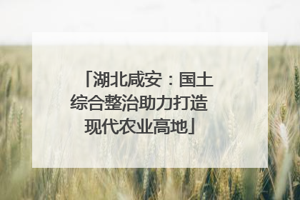 湖北咸安：国土综合整治助力打造现代农业高地