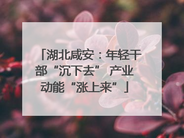 湖北咸安：年轻干部“沉下去” 产业动能“涨上来”