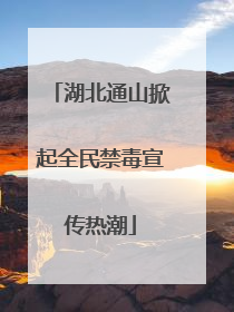 湖北通山掀起全民禁毒宣传热潮