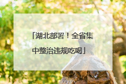湖北部署！全省集中整治违规吃喝