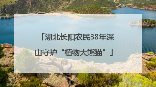 湖北长阳农民38年深山守护“植物大熊猫”